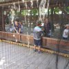 20160811_142445