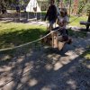 20160811_143733
