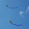 20160810_103951