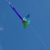 20160810_104030