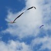 20160810_104122