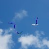 20160810_104651