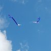20160810_104701