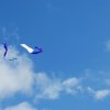 20160810_104709