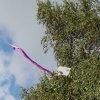 20160810_104846