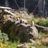 20160811_103934