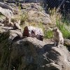 20160811_103941