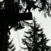 IMG-20170814-WA0025