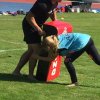 IMG_2633