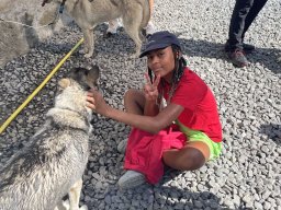 image3664