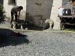 image3666